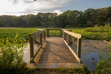 A walkway bridge on a pond at Woods Lake Park in Kalamazoo Michigan