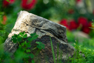 Large stone lying on the green grass, close-up, shallow depth of field, selective focus. Nature concept in kind