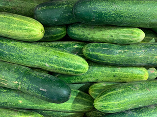 Close up Photo of Fresh Organic Green Cucumbers