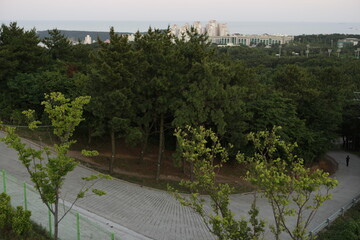 울산 산정상에서 내려다 본 표현입니다.