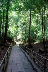 Obraz premium historical steps with iron railing and trees on side in jungle