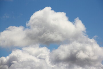 Naklejka na ściany i meble Beautiful white Cumulus clouds on a blue sky on a Sunny summer day close up