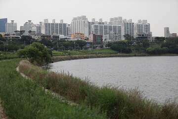 울산 태화강 표현입니다.