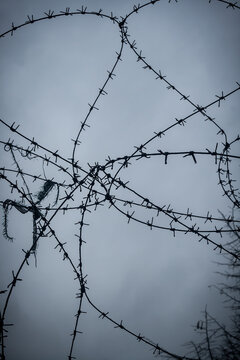 razor wire with rest of clothing in high-security building,