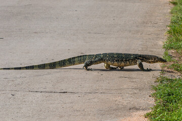 Water Monitor