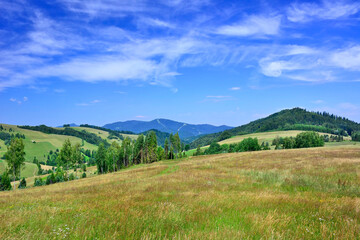 Fototapeta na wymiar Summer mountains landscape with green field on a blue sky with white clouds background, Low Beskids, Poland 