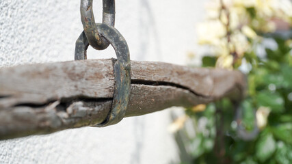 Garden impressions on a sunny summer day in Fulda, Germany.