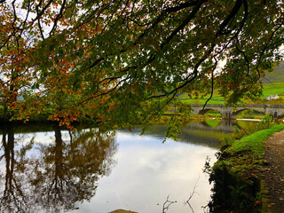 Obraz premium autumn in the park