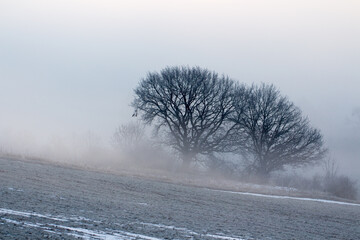 Winterstimmung