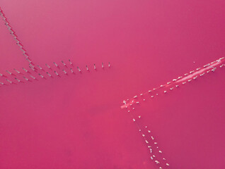 Fototapeta premium Abstract background of triangles on the salt lake; lagoon Sivash, Ukraine; recreation zone