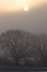 Fototapeta premium Winterstimmung