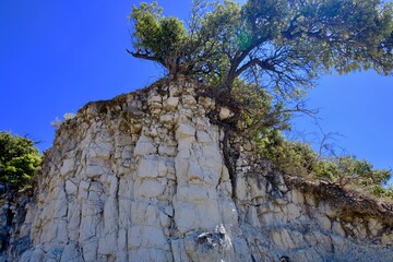 MONTAGNE CALCAIRE ARBRE REAUVILLE DRÔME