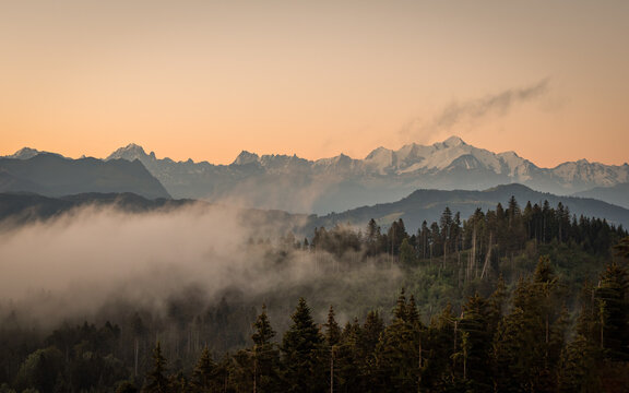 Panorama sur le lever de soleil sur le Mont-Blanc, l'aiguille verte, la grand-dru et les grandes Jorasses, brume et brouillard du matin à l'heure dorée. Avant plan avec forêt de pins. Haute-Savoie. Fr © VincentBesse 