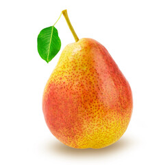 Isolated pear. One red and yellow pear fruit with leaves isolated on white background