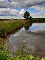 staw © Jacek