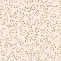 Cashew nut seed plant pattern. Hand drawn style. Retro vintage graphic design. Detailed botanical vector sketch for Organic Food, cosmetics component