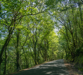 Pasarela del rio Mao