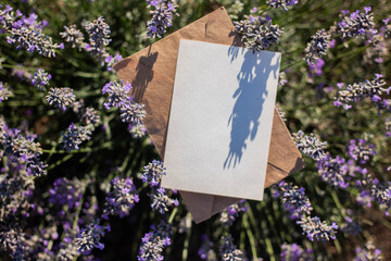 card mockup with levender flowers field. flat lay