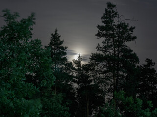Obraz na płótnie Canvas Night landscape with the moon over the Voronezh reservoir