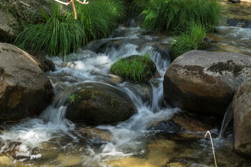 Fototapeta strumień górski zieleń kamienie woda  obraz
