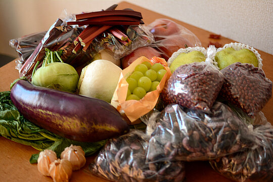 152 Best コールラビ Images Stock Photos Vectors Adobe Stock