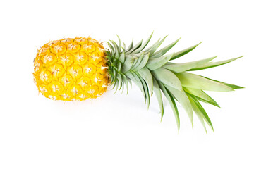 Fresh, yellow, ripe pineapple fruit with green leaves isolated on a white background. Healthy tropical fruit for smoothies and cooking. Freshly picked pineapple fruit with green leaves.