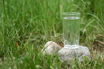 A glass of clean water on a background of greenery. The concept of natural products, no preservatives. Copy space.