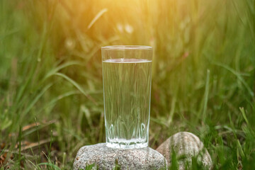 A glass of clean water on a background of greenery. The concept of natural products, no preservatives. Copy space.