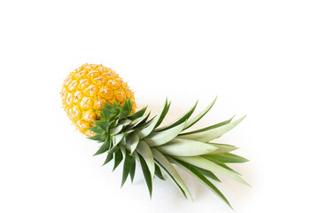 Fresh, yellow, ripe pineapple fruit with green leaves isolated on a white background. Healthy tropical fruit for smoothies and cooking. Freshly picked pineapple fruit with green leaves.