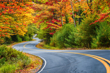 Winding road curves through scenic autumn foliage trees in New England. - 364335368