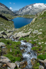 Fototapeta na wymiar Aigüestortes National Park and Sant Maurici Lake, Catalonia, Spain 2020/06