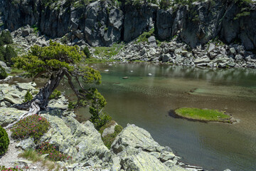 Aigüestortes National Park and Sant Maurici Lake, Catalonia, Spain 2020/06