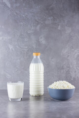 Various dairy products. Healthy dairy products on a gray background. Milk and cottage cheese. Copy space