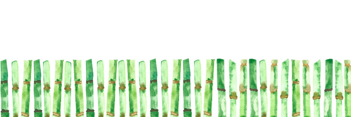 Watercolor hand painted nature tropical plant long banner frame with green bamboo stems line composition isolated on the white background with the space for text