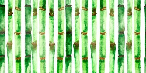 Watercolor hand painted nature tropical plant texture background with green and brown bamboo branches isolated on the white background for design elements and cards