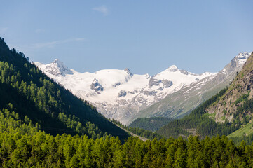 Fototapeta na wymiar Pontresina, Val Roseg, Piz Roseg, Piz Bernina, Gletscher, Wanderweg, Berninagruppe, Oberengadin, Alpen, Graubünden, Sommer, Schweiz