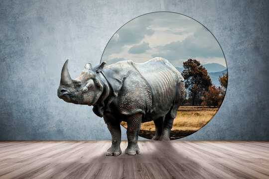 Rhino in the room, photo and media mixed creative concept