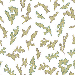Seamless Vector Pattern with beauty sea Algae.