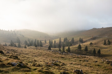 Mist in the morning in Slovenian alps