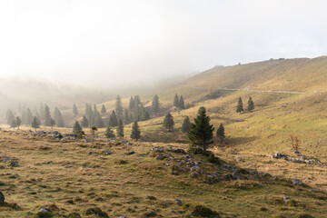 Mist in the morning in Slovenian alps