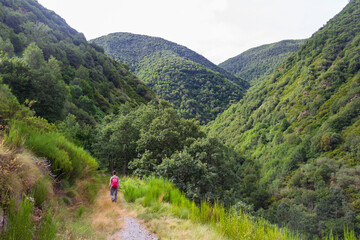 escape into the wild in the mountains