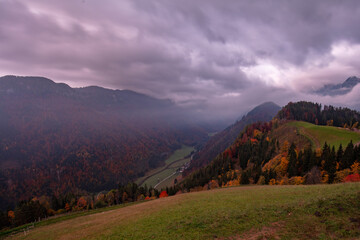 Road leading to Logar valley in Slovenia