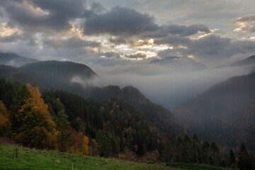 Road leading to Logar valley in Slovenia