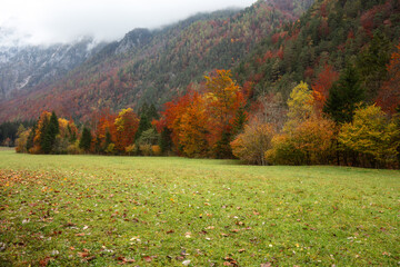 Beautiful scenery in Slovenian alps