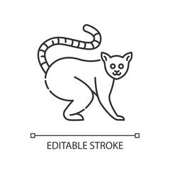 Ring tailed lemur pixel perfect linear icon. Native Madagascar inhabitant thin line customizable illustration. Contour symbol. Cute lemur catta vector isolated outline drawing. Editable stroke