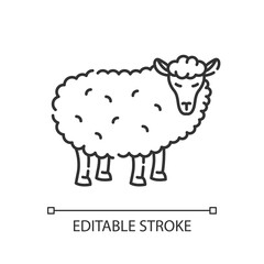 Sheep pixel perfect linear icon. Farm wildlife, domestic animal. Livestock, husbandry thin line customizable illustration. Contour symbol. Lamb vector isolated outline drawing. Editable stroke