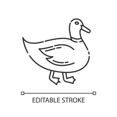 Duck pixel perfect linear icon. Domestic bird. Poultry farm, husbandry thin line customizable illustration. Contour symbol. Mallard, quack vector isolated outline drawing. Editable stroke