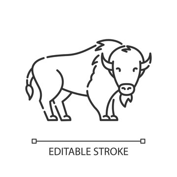 Bison pixel perfect linear icon. North American fauna. Cattle farm, domestic livestock thin line customizable illustration. Contour symbol. Buffalo vector isolated outline drawing. Editable stroke
