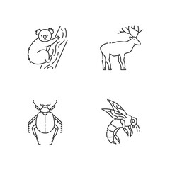 Mammals and insects pixel perfect linear icons set. Koala, forest deer, scarab beetle and honeybee customizable thin line contour symbols. Isolated vector outline illustrations. Editable stroke