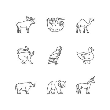 Mammals and birds pixel perfect linear icons set. Flying and land animals customizable thin line contour symbols. Common forest wildlife. Isolated vector outline illustrations. Editable stroke